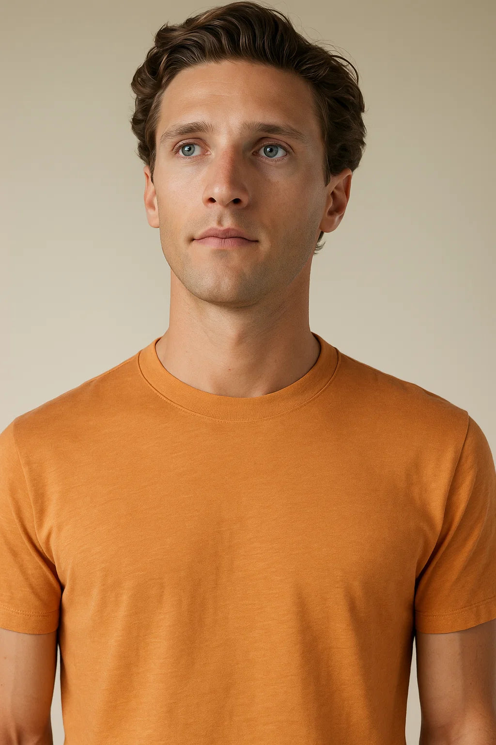 Linen City T-shirt Dust